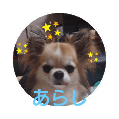 HIKARU_20221021235428