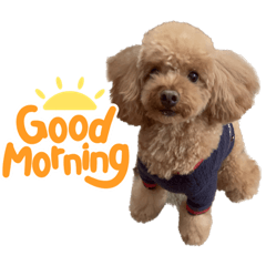 suzu_20221022123126