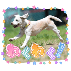 RURU_20221022131309