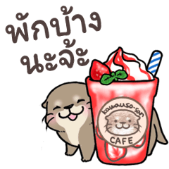 Little otter "Kawauso-san"(cafe)(thai)