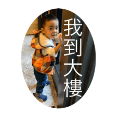 Goldie_20221022002203 – LINE stickers | LINE STORE