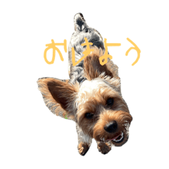 Emily_20221022181126