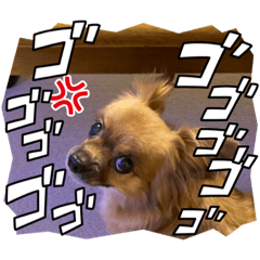 Taki_20221022174637