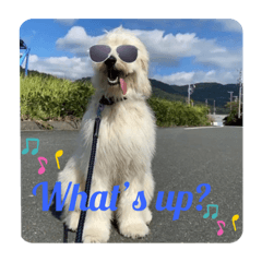 KATORIn_20221022182238