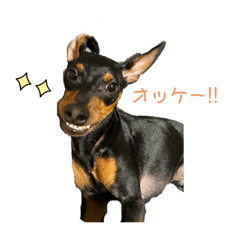 peco_20221022214625