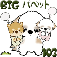【Big】シーズー犬 103『パペットと一緒』