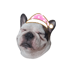 香蕉香蕉香蕉香蕉香蕉香蕉