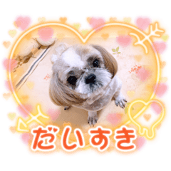 tomomi_20221022230836