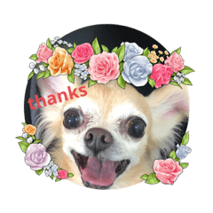 chisa_20221023004424