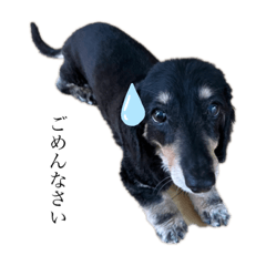 NATSUMI_20221023130020