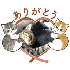 Misa_20221023101852