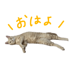 misa_20221023022547