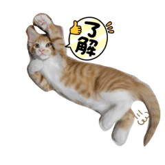 Yasubei_20221023140440