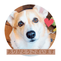 SAORI_20221023150252