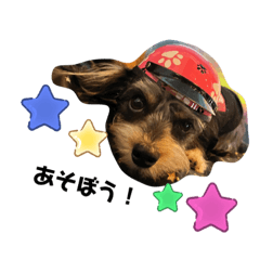 hikari_20221023152116