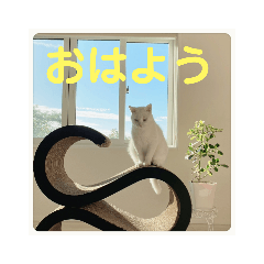 hana_20221023163430