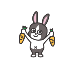 Belly button Dutch rabbit