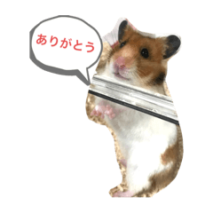 Yuka_20221023213719