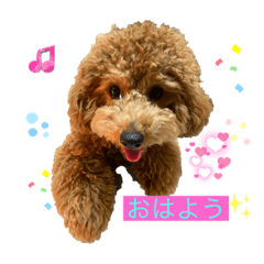 Tomomi_20221023221206