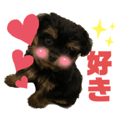 YUKA_20221023223747