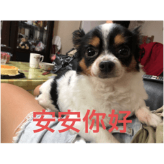 日常生活吉