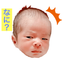 RINA_20221024111013