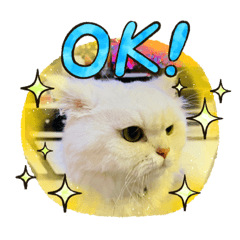 Vicky_20221023233401 – LINE stickers | LINE STORE
