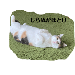 kii_20221024122306
