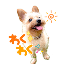 mizuki_20221024121054