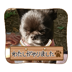 Megumi_20221024140251