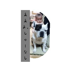 hikari_20221023231757