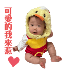 小寶貝泱泱(*☻-☻*)