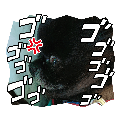 Megumi_20221024161651