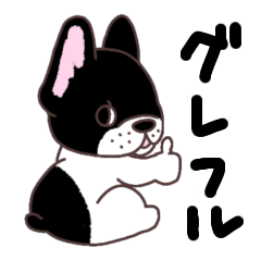 French bulldog japanese YANK