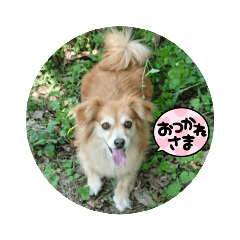 TOMOMI_20221024232203