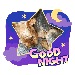 Michiko_20221024201824