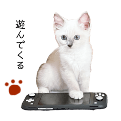 Emily_20221024202744