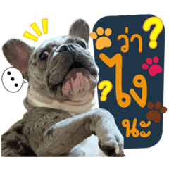 My name is Luna – LINE stickers | LINE STORE