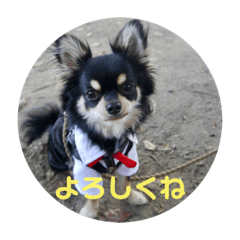 Natsumi_20221024221804