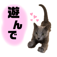 ruru_20221024230924
