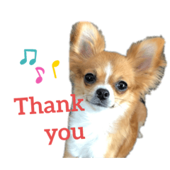 ranchan & yuma.takuma