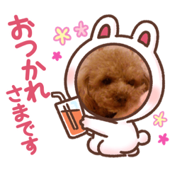 Rina_20221025123745