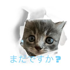ayuco_20221025123912