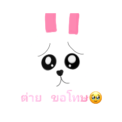 rabbit_20221025081240