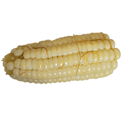 Food Series : Some Corn