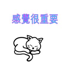 亮亮小喵仔3-43