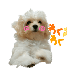 suzu_20221025152808