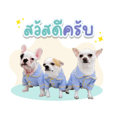 Chopper family – LINE stickers | LINE STORE