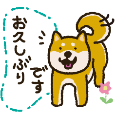 Fluffy Shiba Inu Stamp6 BASIC