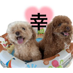 Mizuki_20221025193830